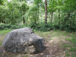 Dikke steen